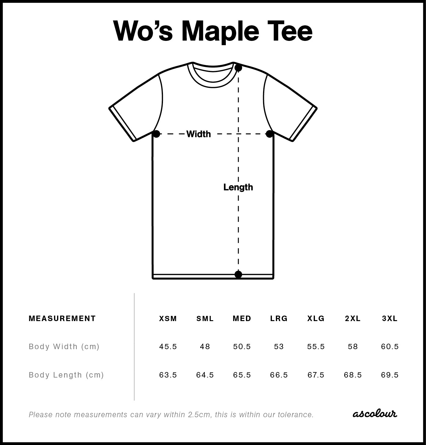 IMPACT GYM | Staple Tees